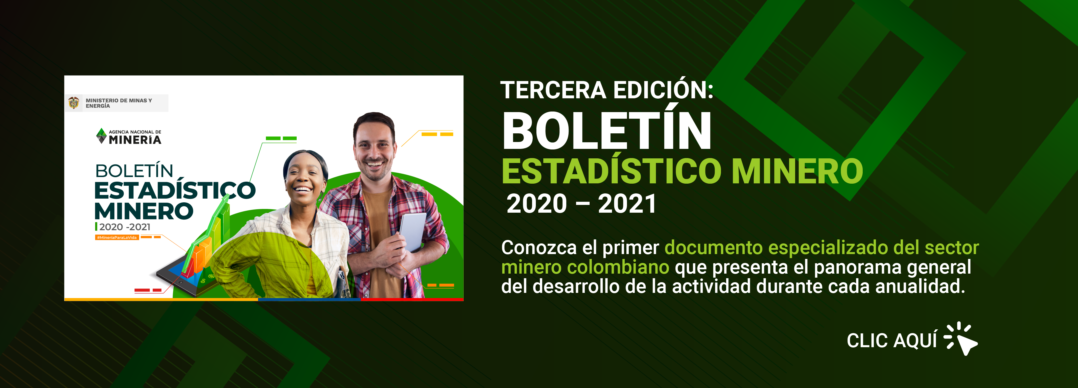 Boletín Estadístico 2020 - 2021